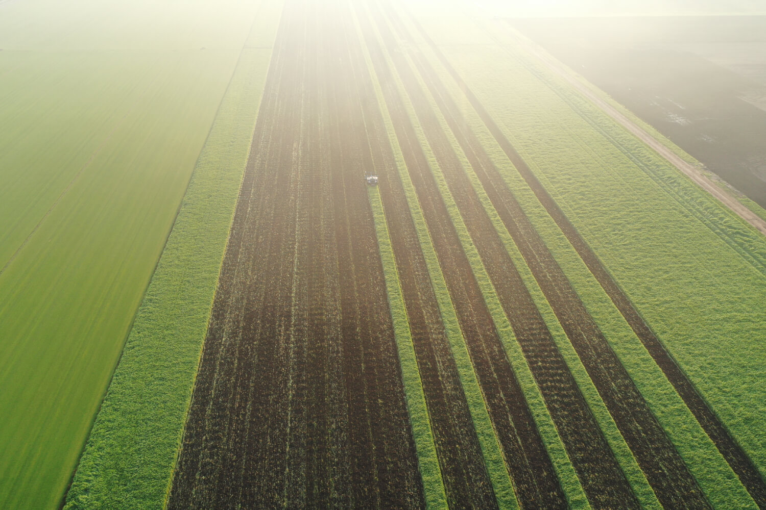 CLAAS ПРИОБРЕЛ ДОЛЮ В НИДЕРЛАНДСКОМ СТАРТАПЕ AGXEED