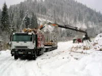 Бревнозахват VTN 93RV94