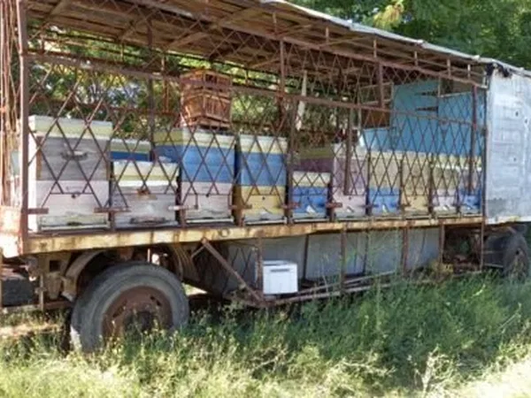 Прицеп пчеловоз