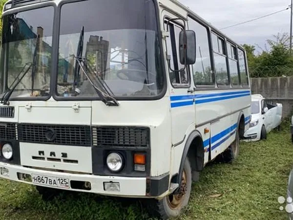 Автобус ПАЗ 3206-110