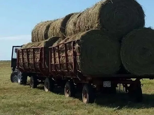 Тракторный прицеп Арба для сена