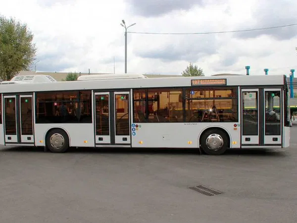 Автобус МАЗ 203 (городской)