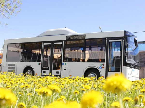 Автобус Lotos (Лотос) 206