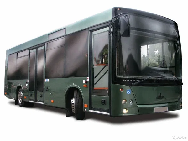 Автобус МАЗ 206 (городской)