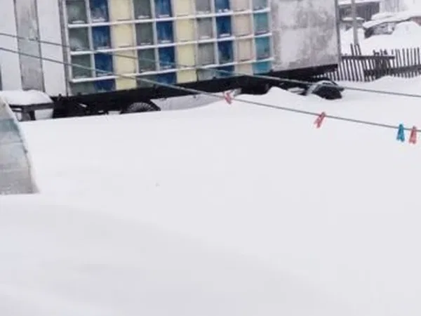 Прицеп пчеловоз