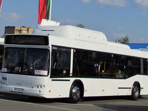 Автобус МАЗ 103965 (городской)