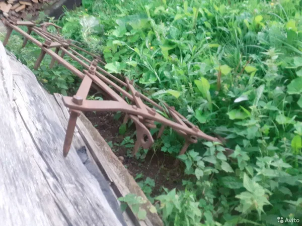 Борона зубовая