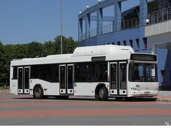 Автобус МАЗ 103965 (городской)