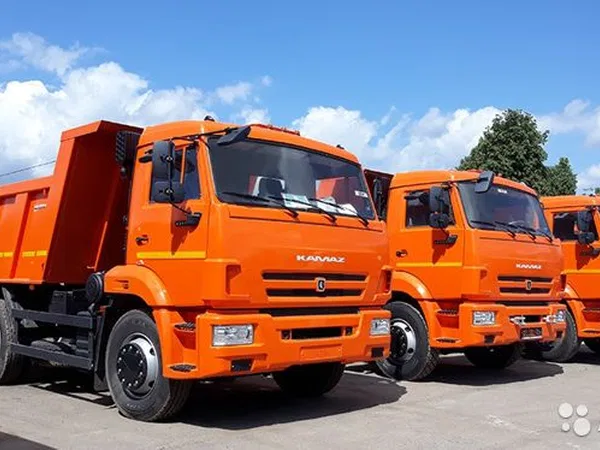 Самосвал КамАЗ 65115-3776058-50