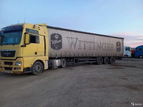 Тентованный полуприцеп Schmitz Cargobull S01