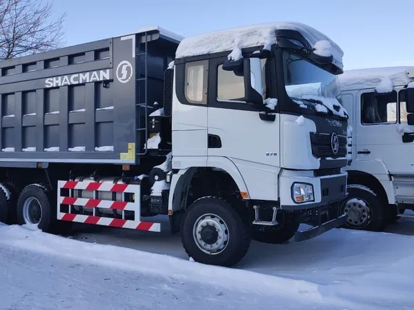 Самосвал SHACMAN (Shaanxi) SX32586T384