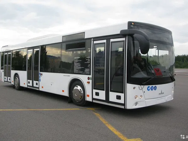 Автобус МАЗ 103 (городской)