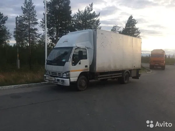 Промтоварный фургон Isuzu ELF