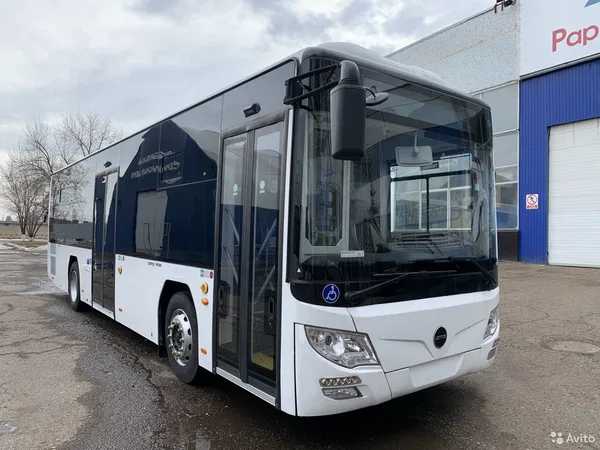 Автобус Lotos 105 (городской)