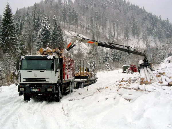 Бревнозахват VTN 93RV96