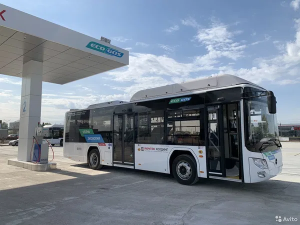 Автобус Lotos 105 (городской)