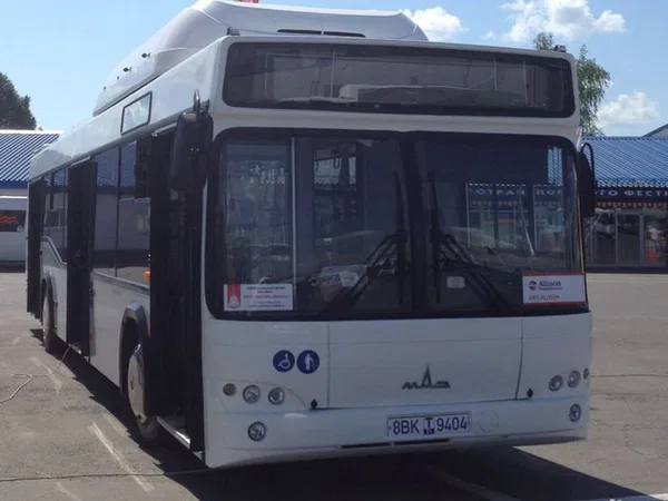 Автобус МАЗ 103965 (городской)