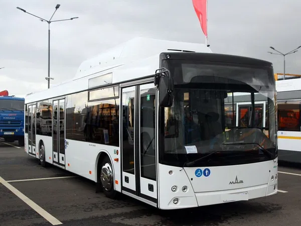 Автобус МАЗ 103965 (городской)