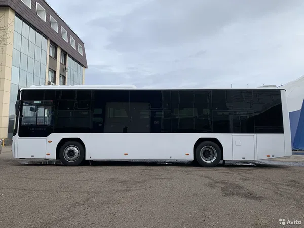 Автобус Lotos 105 (городской)