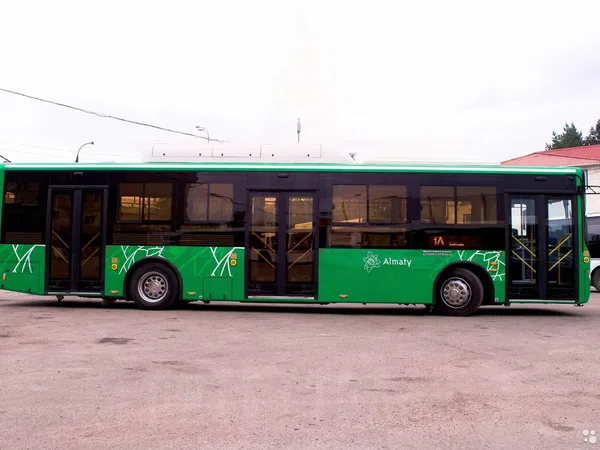 Автобус Zhong Tong LCK6125HGAN (городской)