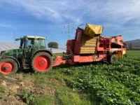 Картофелеуборочный комбайн Grimme SE 150-60