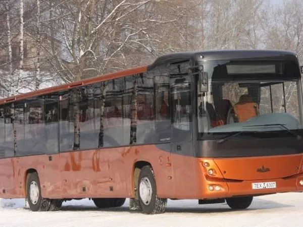 Автобус МАЗ 231 туристический