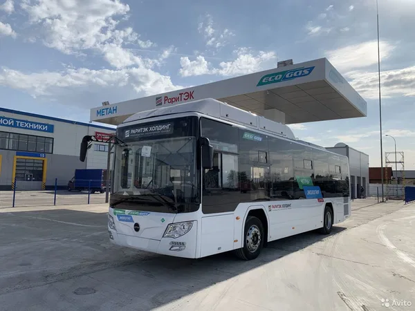 Автобус Lotos 105 (городской)