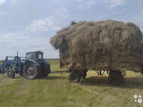 Трактор ЛТЗ Т-40AM с куном