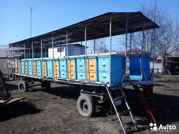 Прицеп пчеловоз с ульями