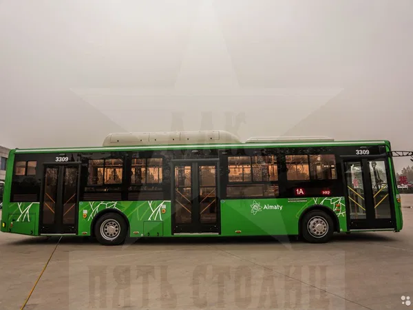 Автобус Zhong Tong LCK6125HGAN (городской)