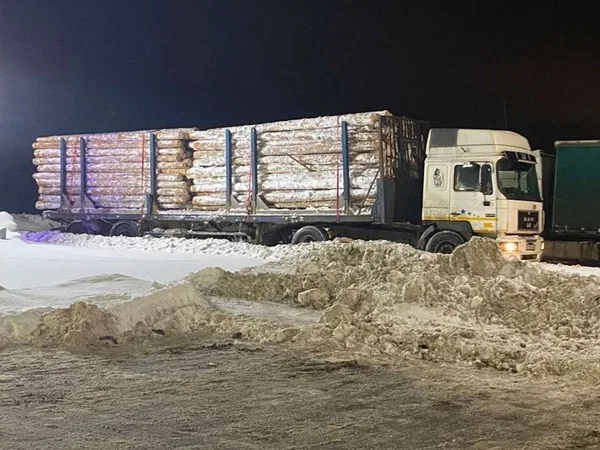 Полуприцеп сортиментовоз СЗАП 93271