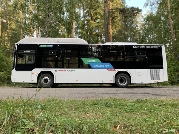 Автобус Lotos 105 (городской)