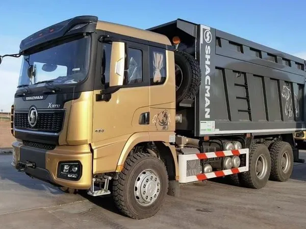 Самосвал SHACMAN (Shaanxi) SX32586T384 X500