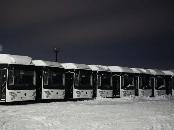 Автобус Lotos (Лотос) 105