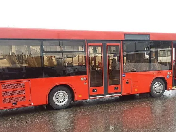 Автобус МАЗ 206