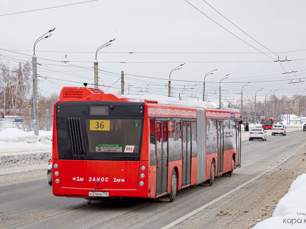 Автобус Алмаз 216