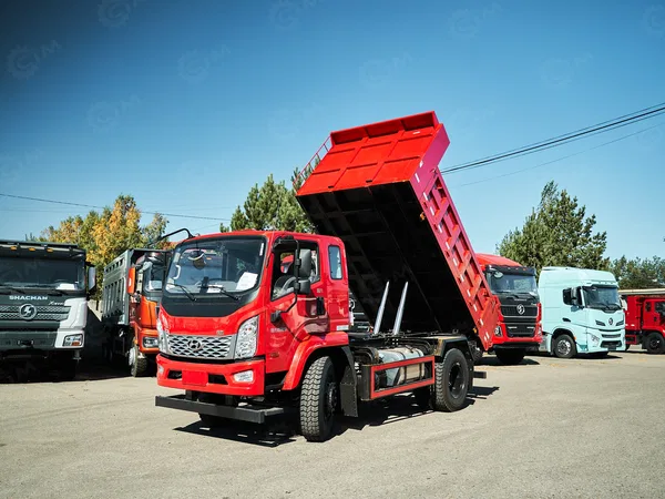 Самосвал Hyundai ZhiDao
