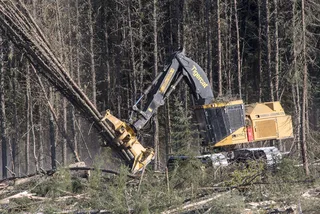 Валочно-пакетирующая техника TigerCat 870C
