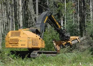 Валочно-пакетирующая техника TigerCat 860C