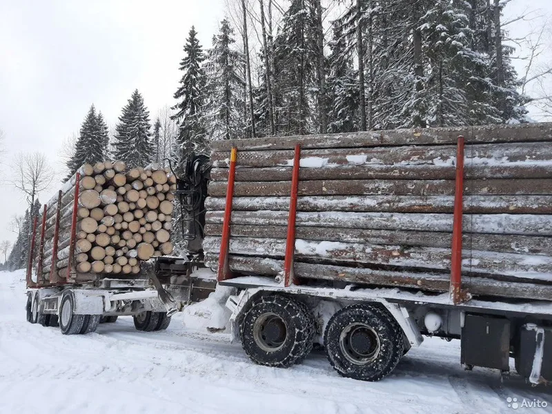 Услуги лесовоз, сортиментовоз