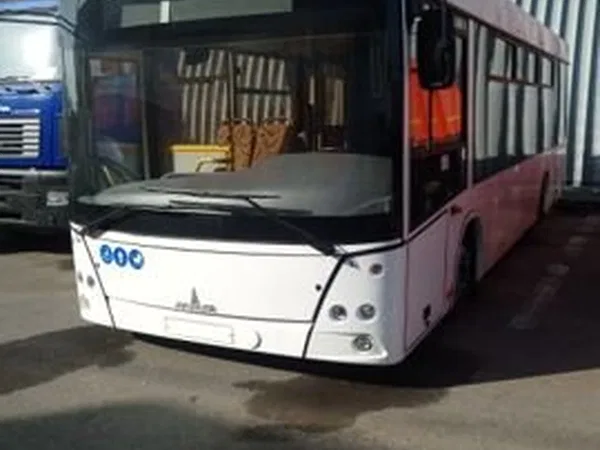 Автобус МАЗ 206086