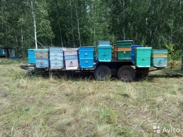 Прицеп пчеловоз