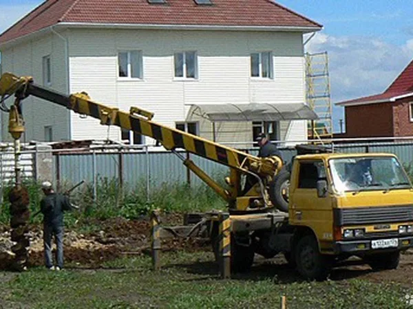 Ямобур японский