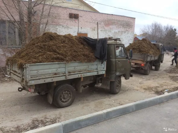 Доставка торфа земли песка перегноя срезки