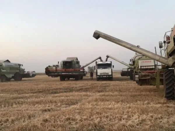 Качественная уборка урожая комбайнами claas