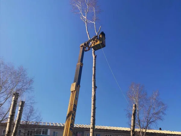 Услуги автовышки
