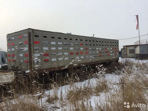 Полуприцеп скотовоз ОДАЗ 9958
