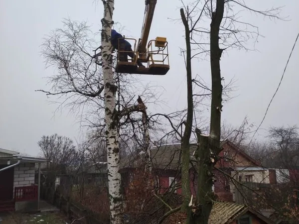 Спил деревьев, аренда автовышки 6х6