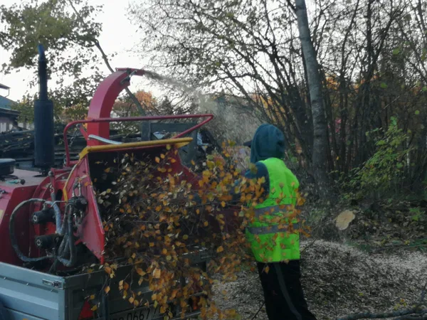 Измельчитель веток                                                     Xinchai                                                 DH60