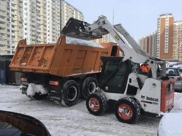 Аренда бобкет минипогрузчик трактор